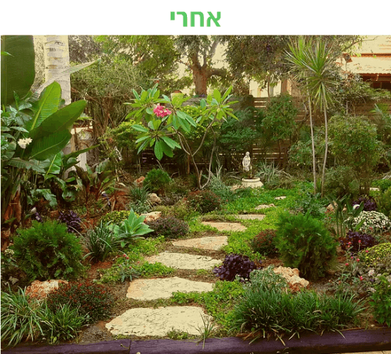 עיצוב שביל בגינה - אחרי